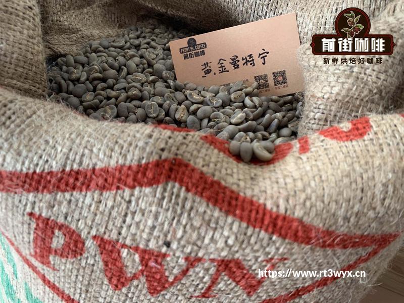 《逆转裁判4》白金攻略 王泥喜合集白金攻略